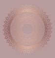 rose gold mandala background vector image vector image